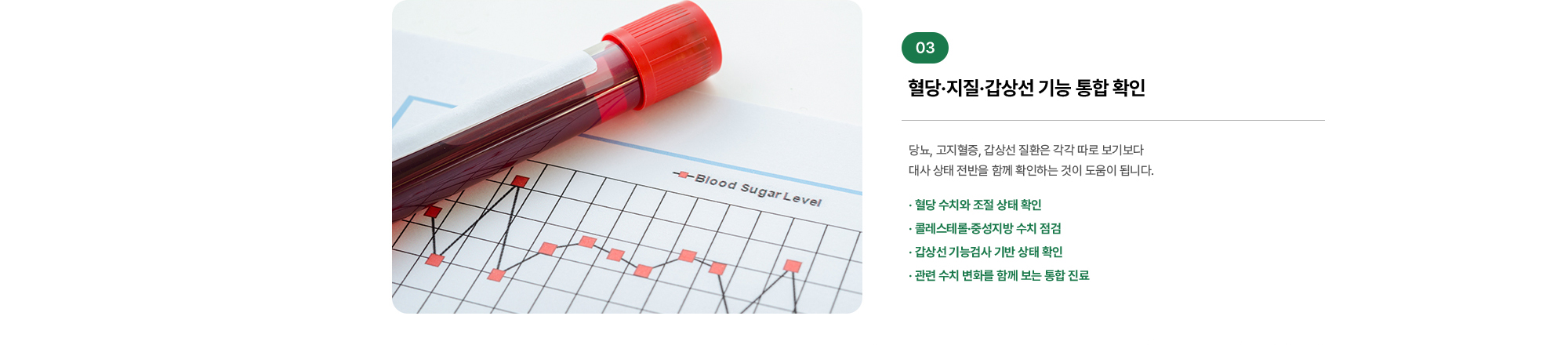 혈당·지질·갑상선 기능 통합 확인, 당뇨, 고지혈증, 갑상선 질환은 각각 따로 보기보다 대사 상태 전반을 함께 확인하는 것이 도움이 됩니다.