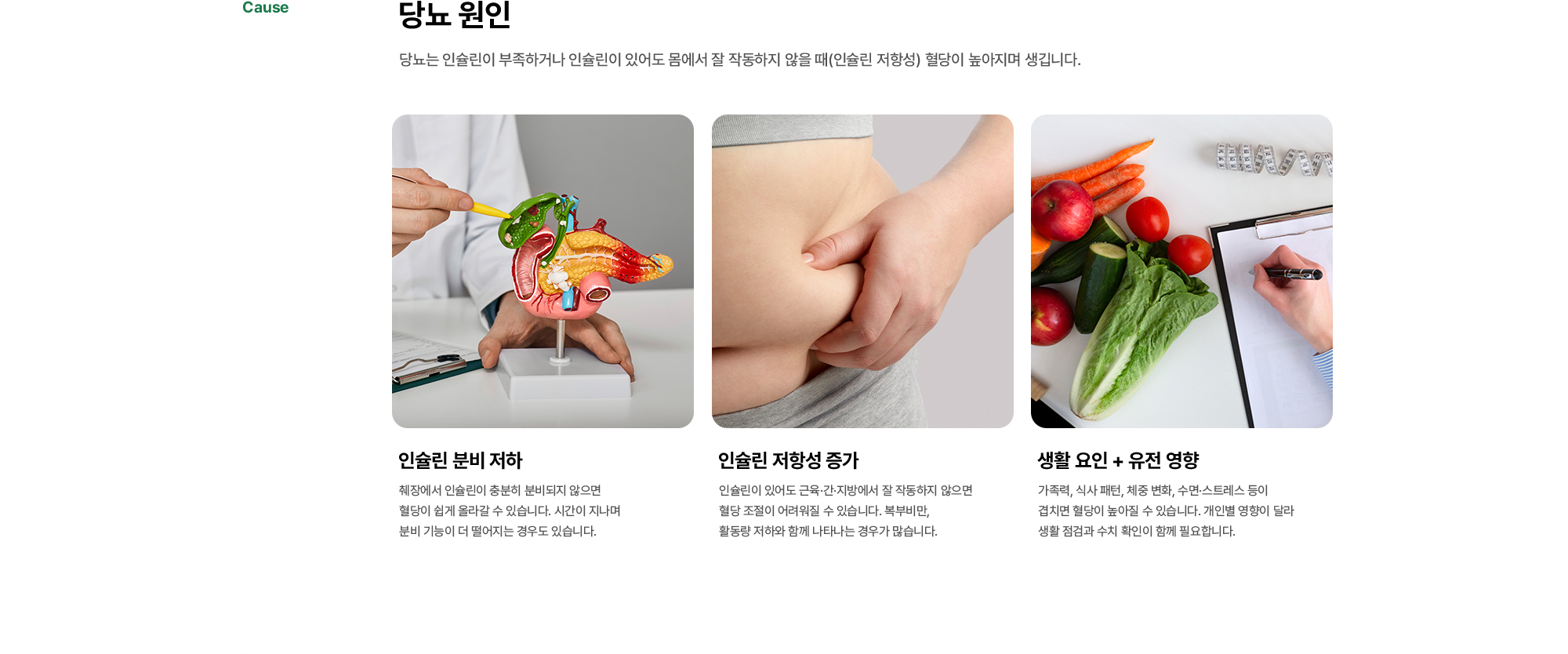 당뇨 원인 | 인슐린 분비 저하, 인슐린 저항성 증가, 생활 요인 + 유전 영향