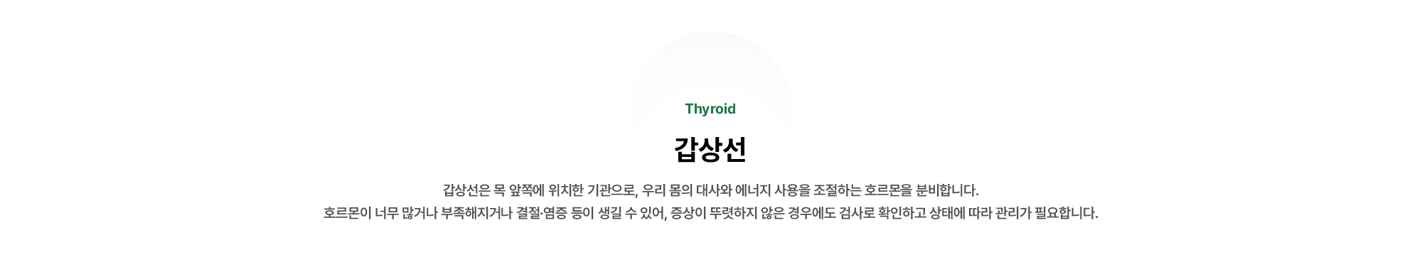 갑상선은 목 앞쪽에 위치한 기관으로, 우리 몸의 대사와 에너지 사용을 조절하는 호르몬을 분비합니다.