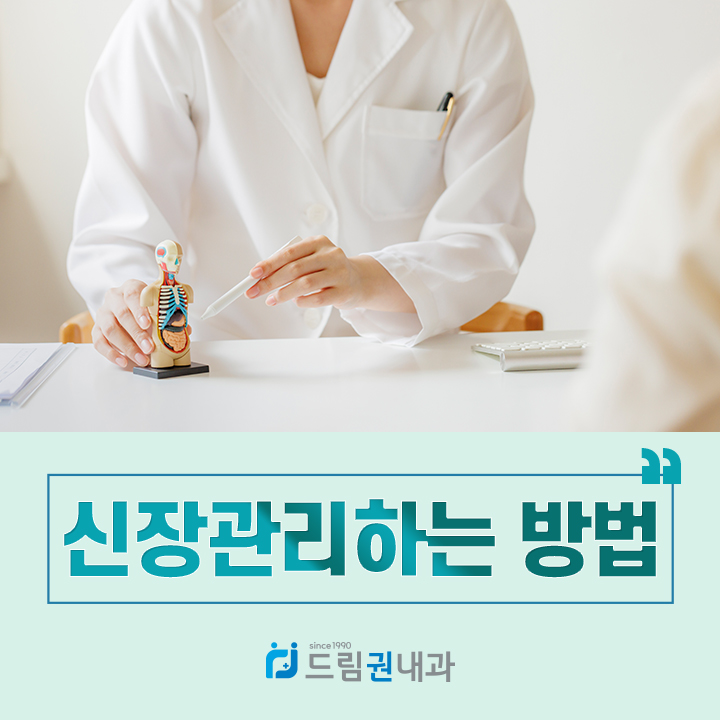신장관리하는 방법 안내 대표 이미지 - 인체 장기 모형을 설명하는 의료진과 드림권내과 타이틀